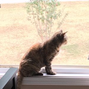 Meet your Posher, Breanna